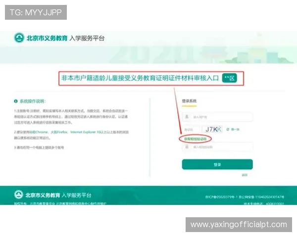 亚星222手机在线验证系统的优势与不足，用户应如何正确使用